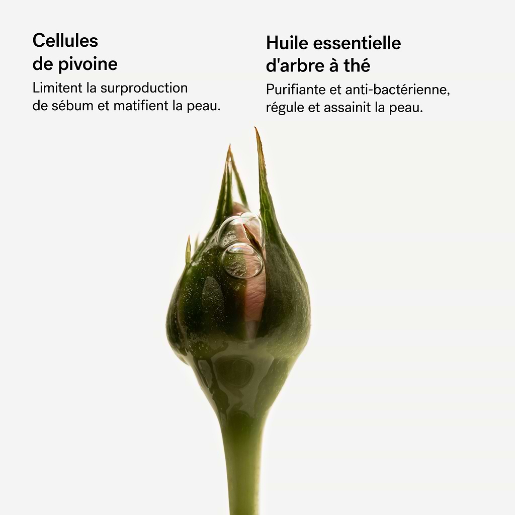 typology-assemblage-botanique-purifiant-cellules-de-pivoine-s-rum-de-nuit-r-g-n- image 5