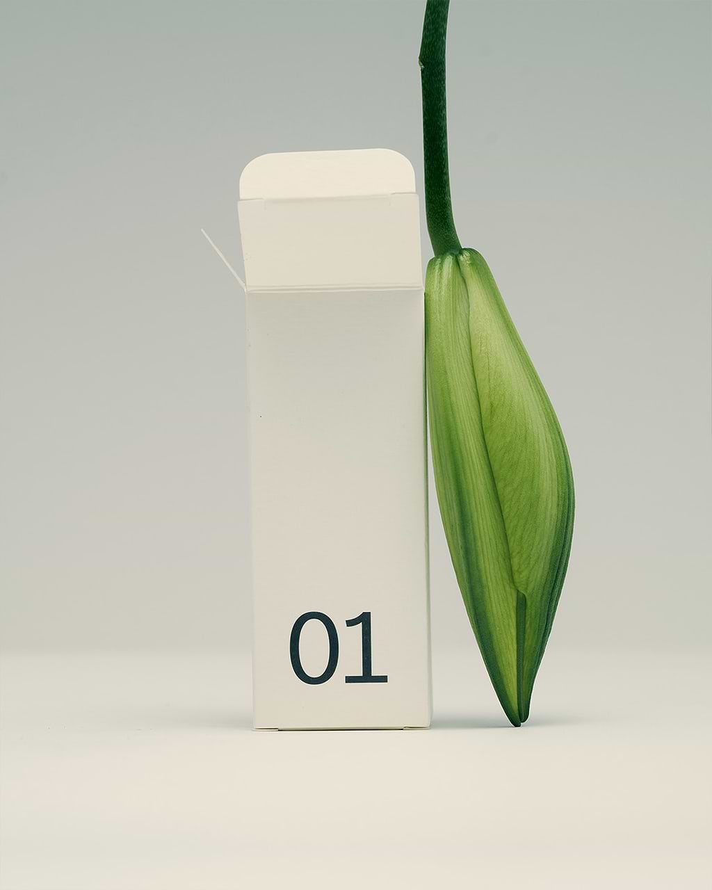 typology-calendrier-de-l-avent-2025-dition-limit-e-soins-visage-et-cheveux image 5