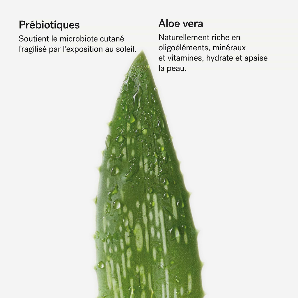 typology-mulsion-corps-apr-s-soleil-pr-biotiques-1-aloe-vera-98-d-origine-nature image 4