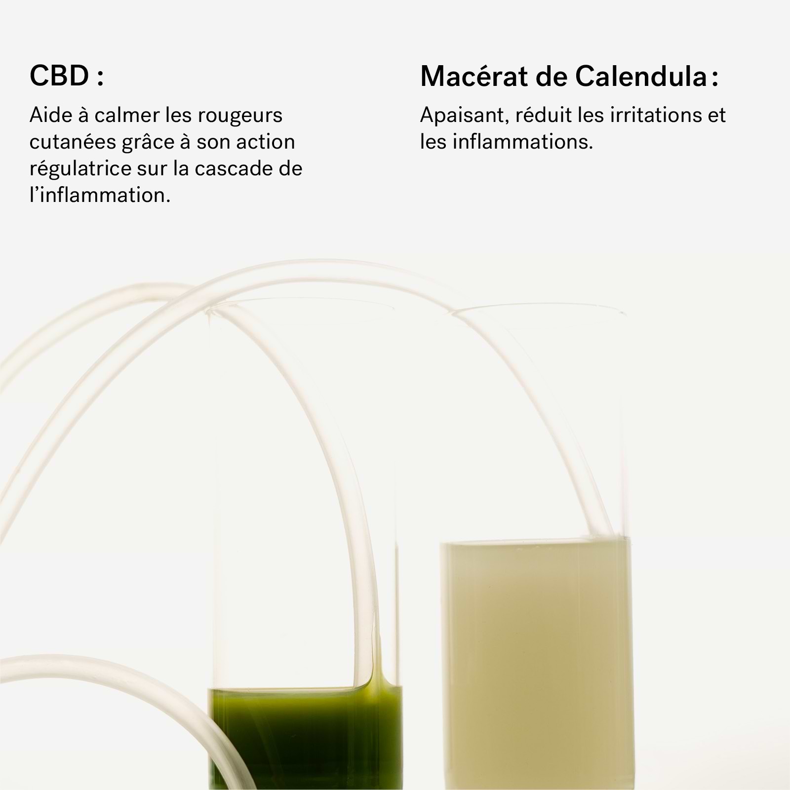 typology-assemblage-botanique-peaux-sensibles-au-cbd-650-mg-huile-de-nuit-apaisa image 5