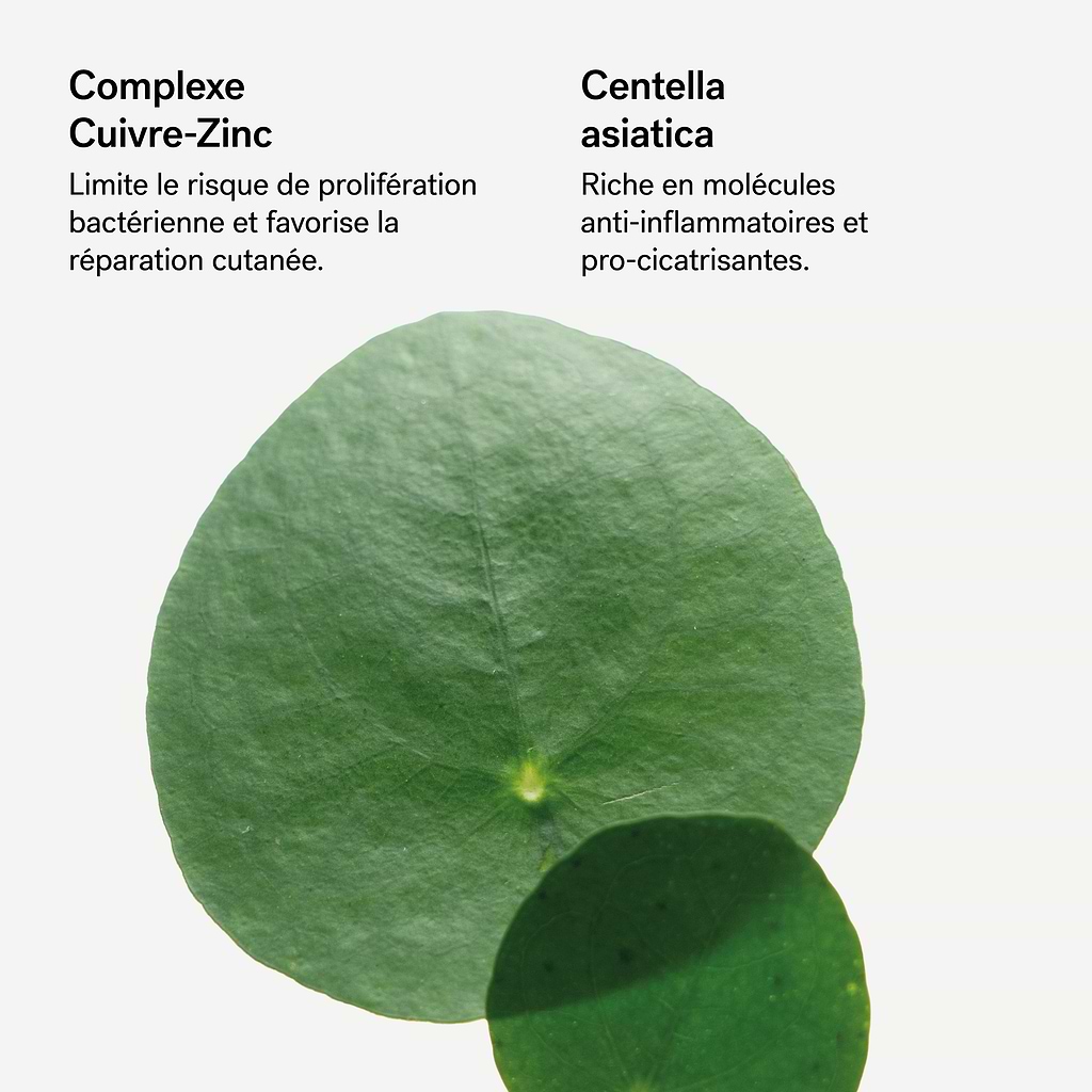 typology-baume-cica-r-parateur-complexe-cuivre-zinc-0-5-centella-asiatica-effet- image 6