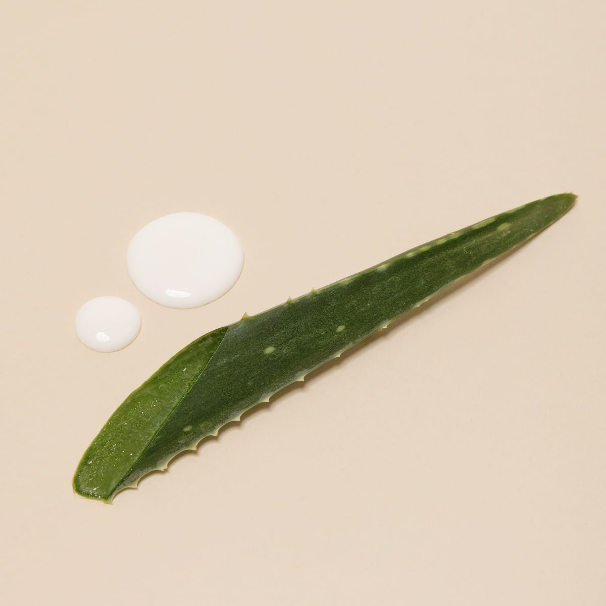 embryolisse-lait-cr-me-fluide-75-ml-soin-multifonctions-6-en-1-visage-et-corps-9 image 2