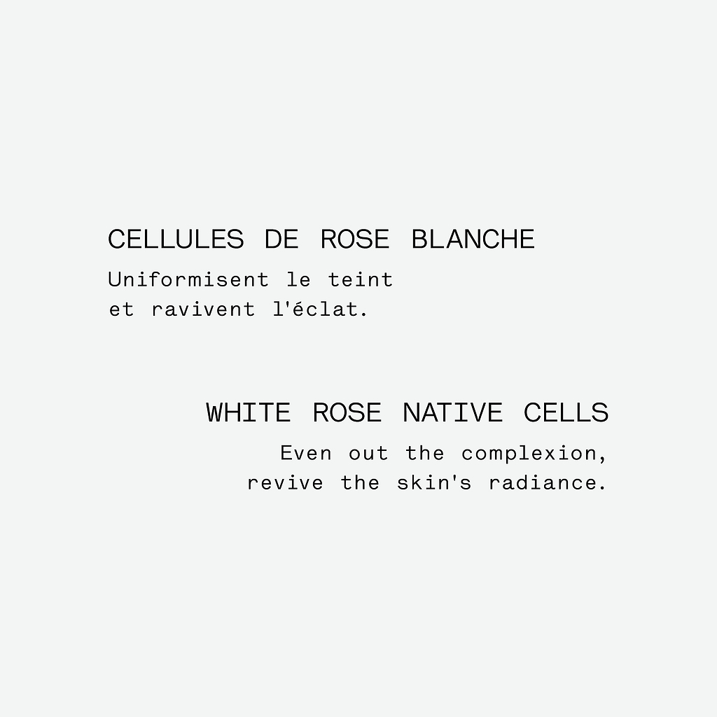 typology-assemblage-botanique-clat-cellules-de-rose-blanche-s-rum-de-nuit-illumi image 5