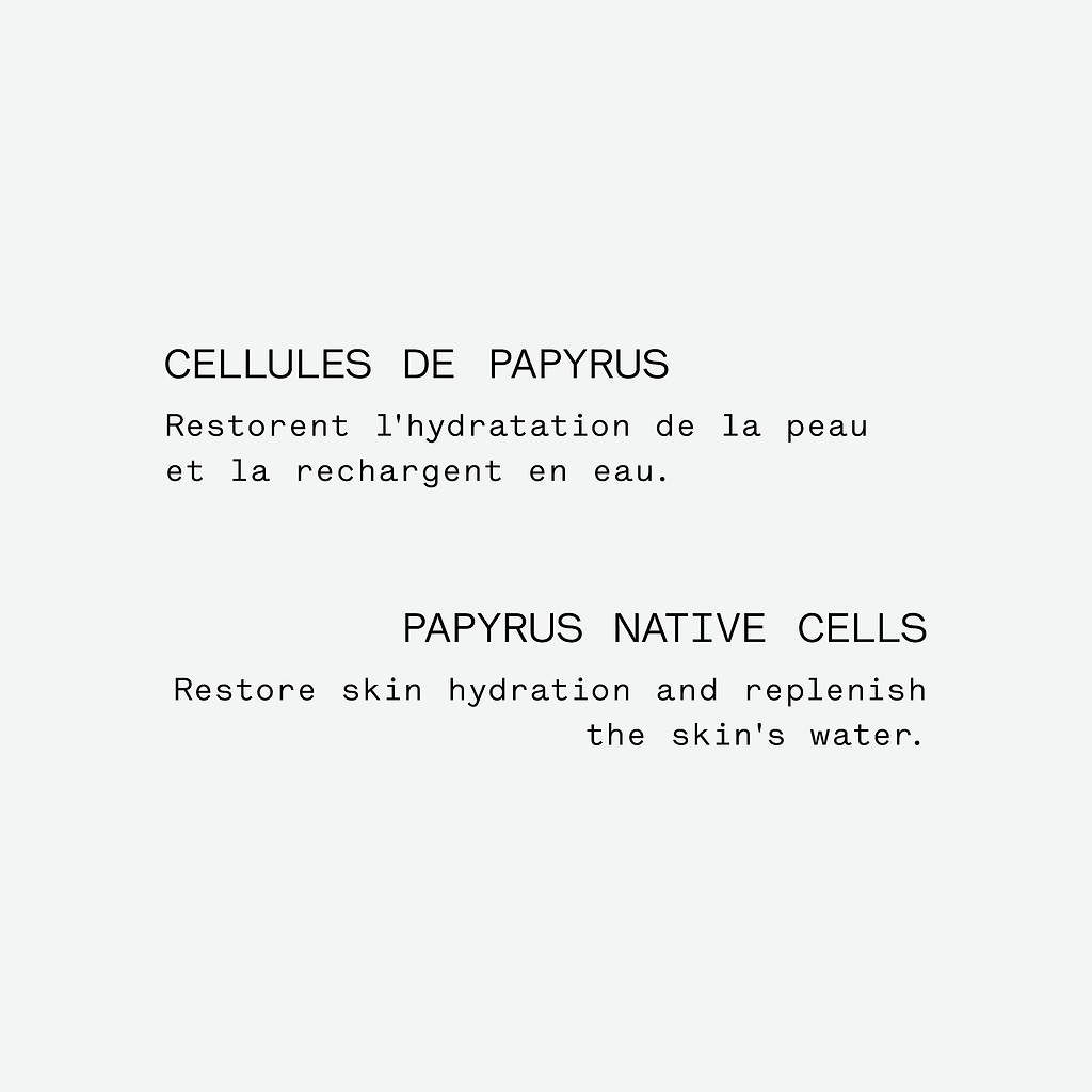 typology-assemblage-botanique-hydratant-au-papyrus-s-rum-de-nuit-visage-100-d-or image 5