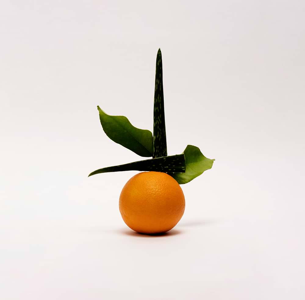 typology-gel-hydratant-apaisant-aloe-vera-fleur-d-oranger-bio-visage-et-corps image 4