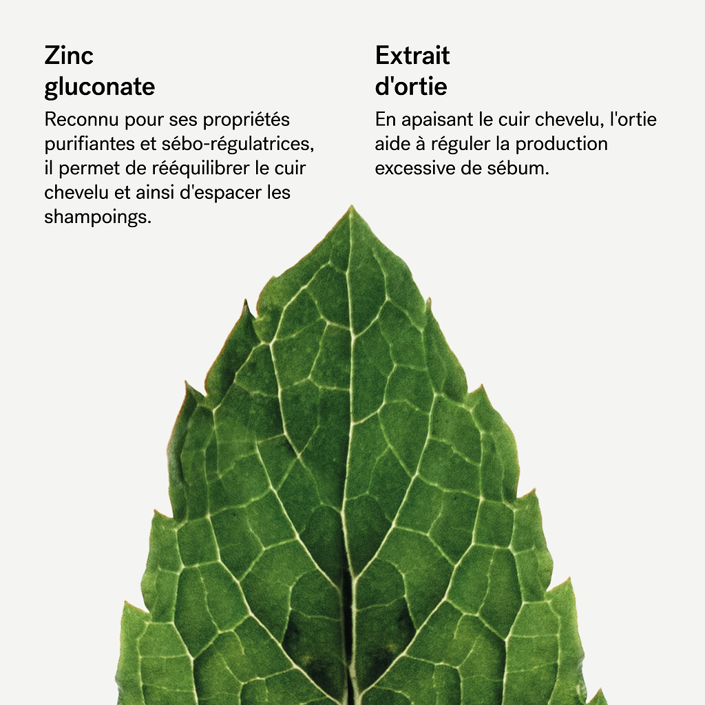typology-shampoing-traitant-purifiant-zinc-gluconate-1-extrait-d-ortie-cuir-chev image 7