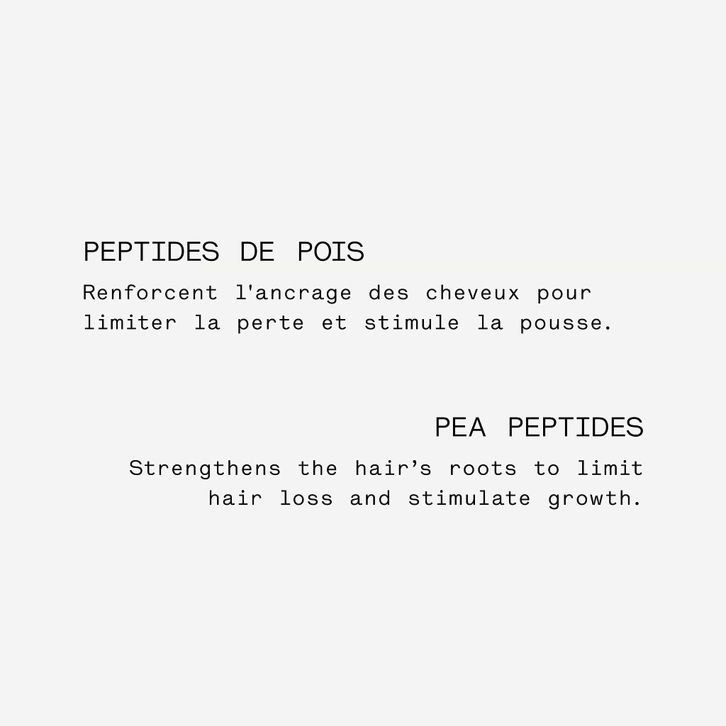 typology-traitement-cuir-chevelu-densifiant-peptides-2-extrait-de-gingembre-limi image 4