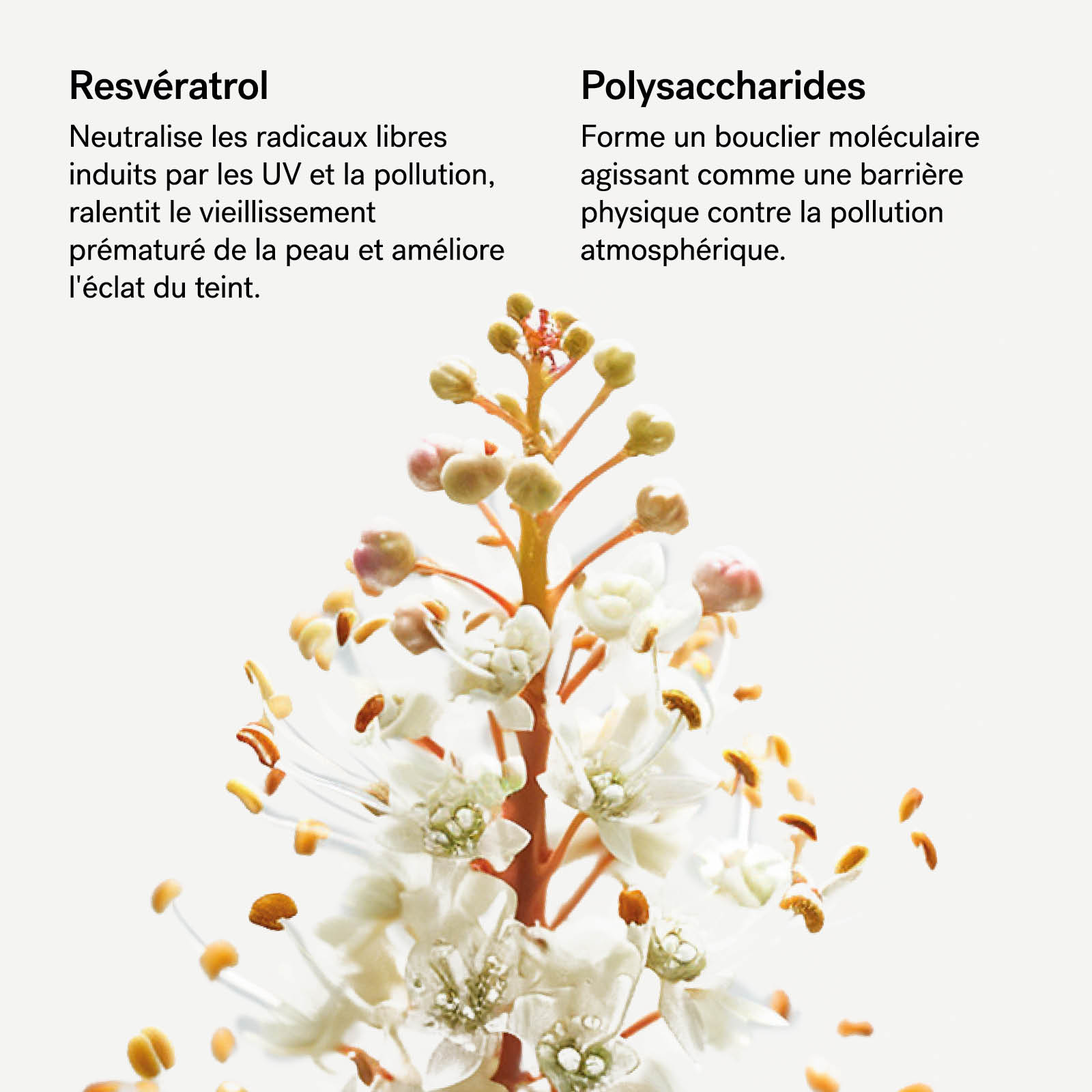 typology-s-rum-protecteur-urbain-spf-30-resv-ratrol-1-polysaccharides image 6